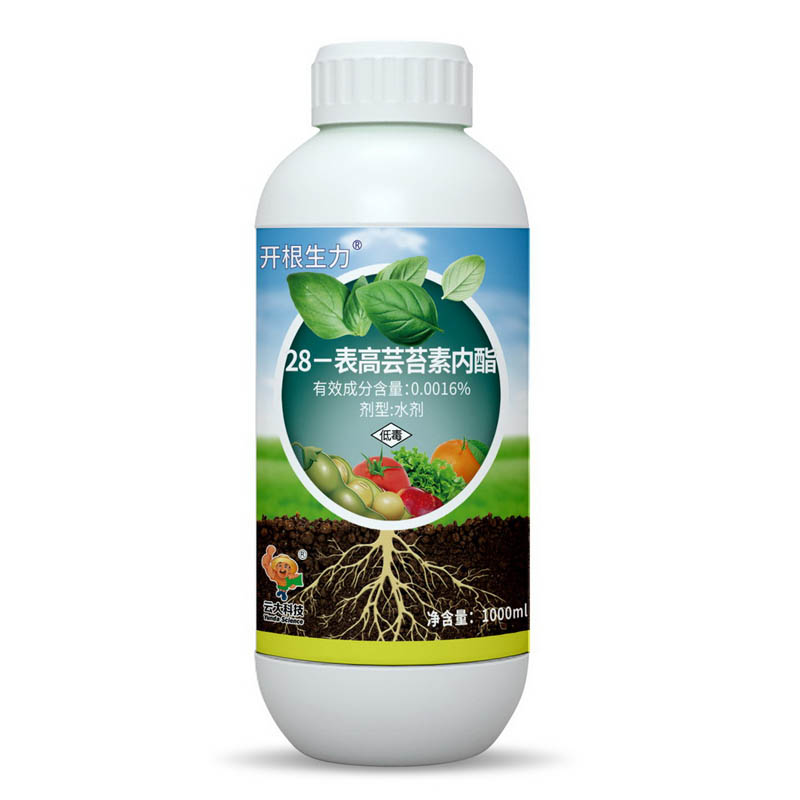 【开根生力】0.0016% 28-表高芸苔素内酯水剂 冲施型1000ml×10瓶装