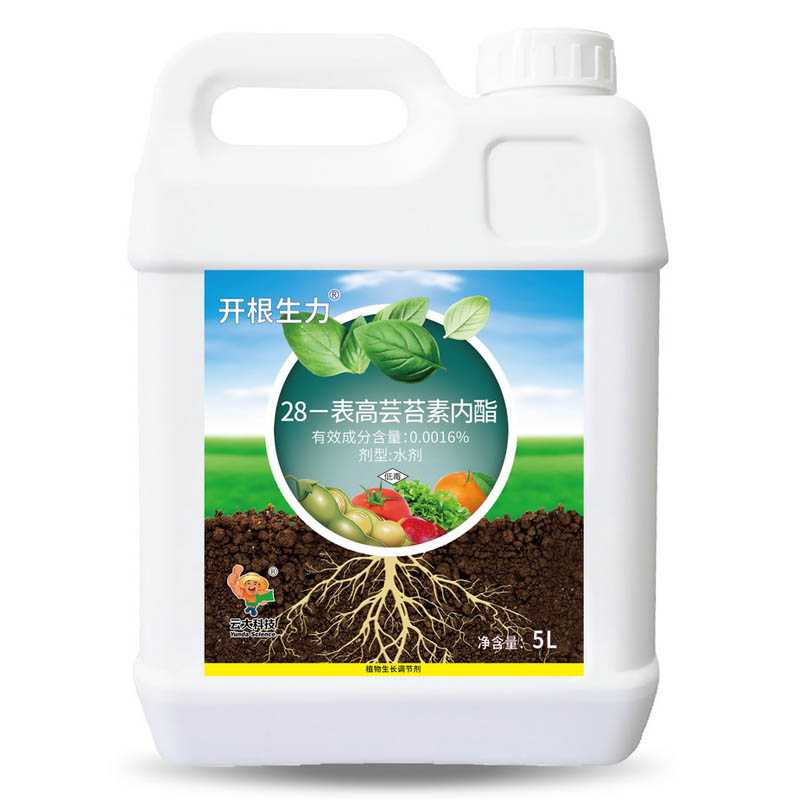 【开根生力】0.0016% 28-表高芸苔素内酯水剂 冲施型5L×4桶装